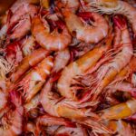 is shrimp a good source of protein