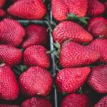 is the strawberry a fruit the botanical answer