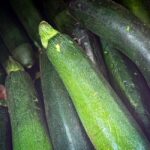 is zucchini a green squash