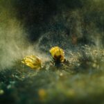 what allergies are bad now pollen mold and more