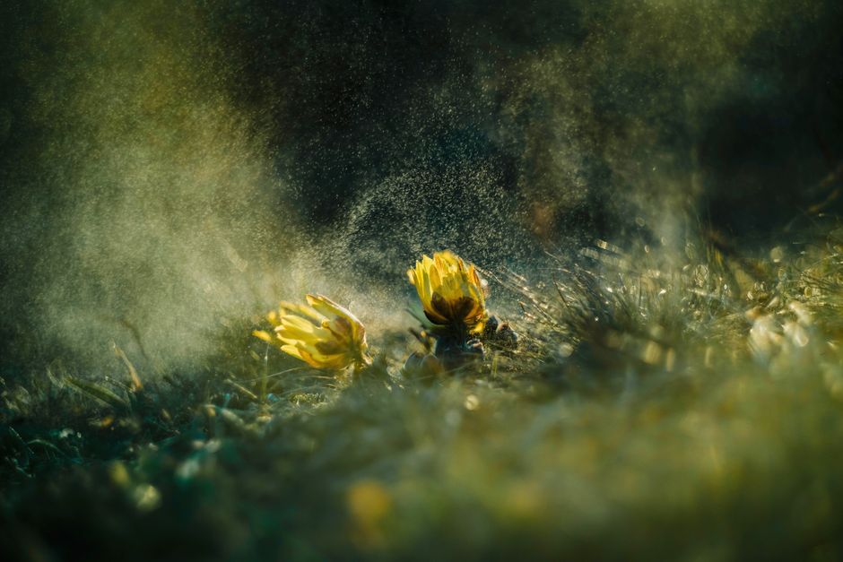 what allergies are bad now pollen mold and more