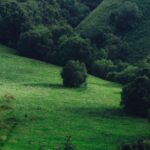 what are environmental regulations and how do they work