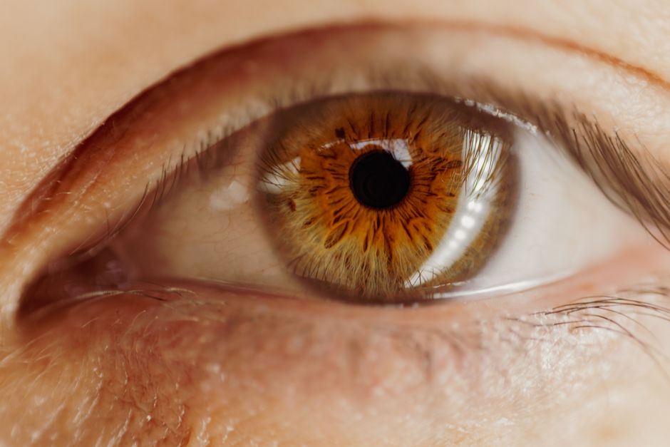what are focal lesions and what causes them