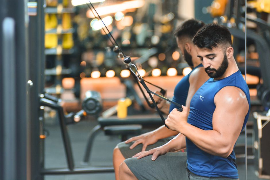 what builds muscle mass