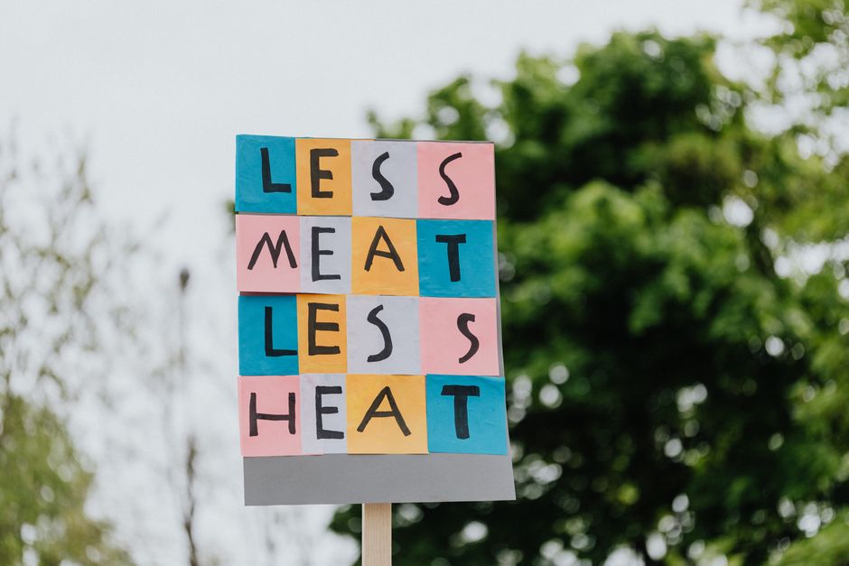 what causes a carbon footprint the main sources