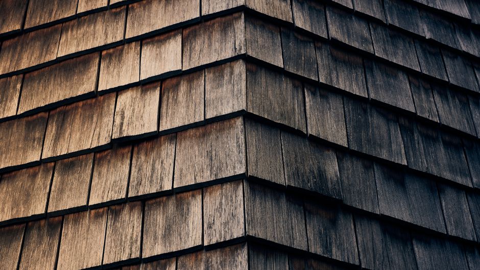 what causes shingles to activate