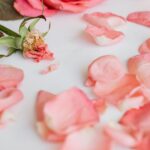 what causes wilting and how can you fix it
