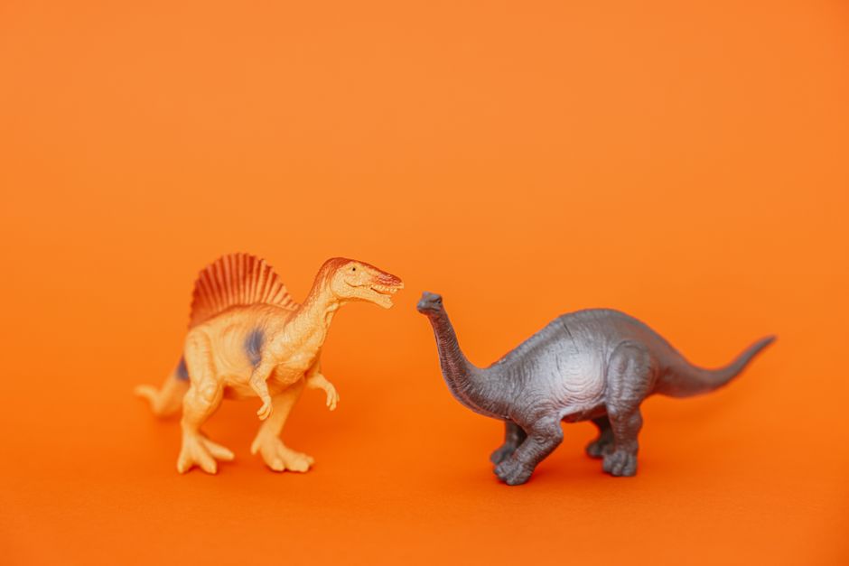what did dinosaurs eat how do scientists know