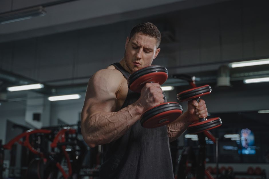 what exercises can i do with a torn bicep tendon