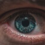 what foods actually make your eyesight better