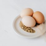 what is a feather made of from protein to structure