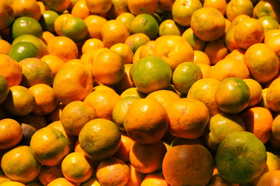 what is a tangelo fruit
