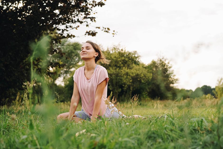 what is abiotic stress types causes and effects