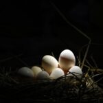 what is assisted hatching in ivf and does it work