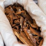 what is burdock root good for