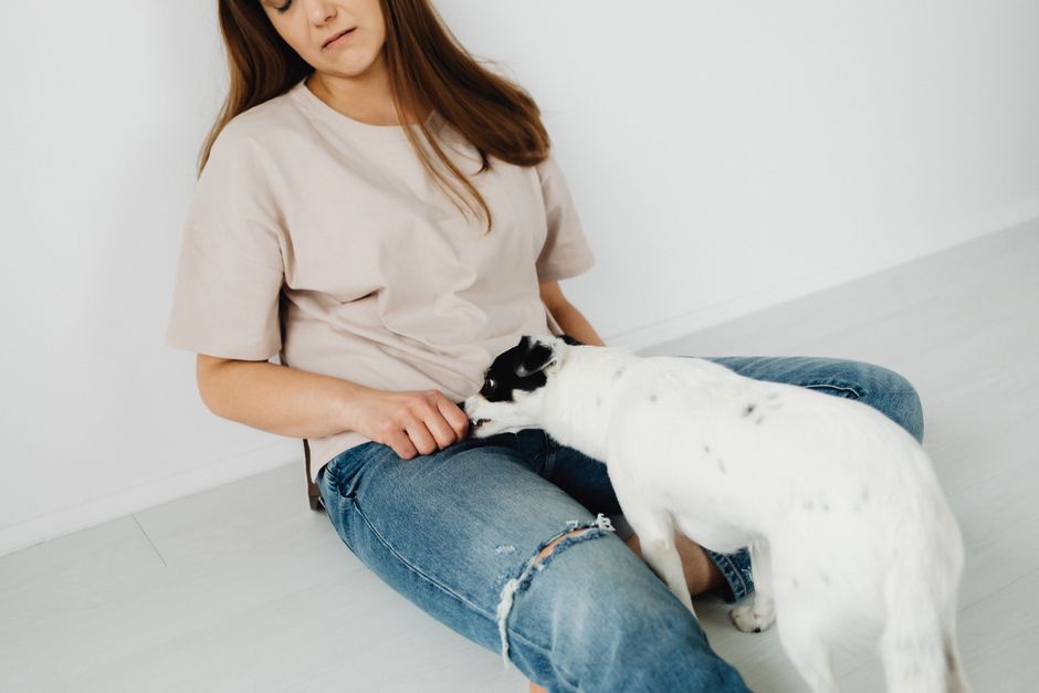 what is conditioned behavior how learned responses form