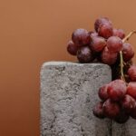 what is grape must used for wine food more