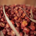 what is jujube fruit