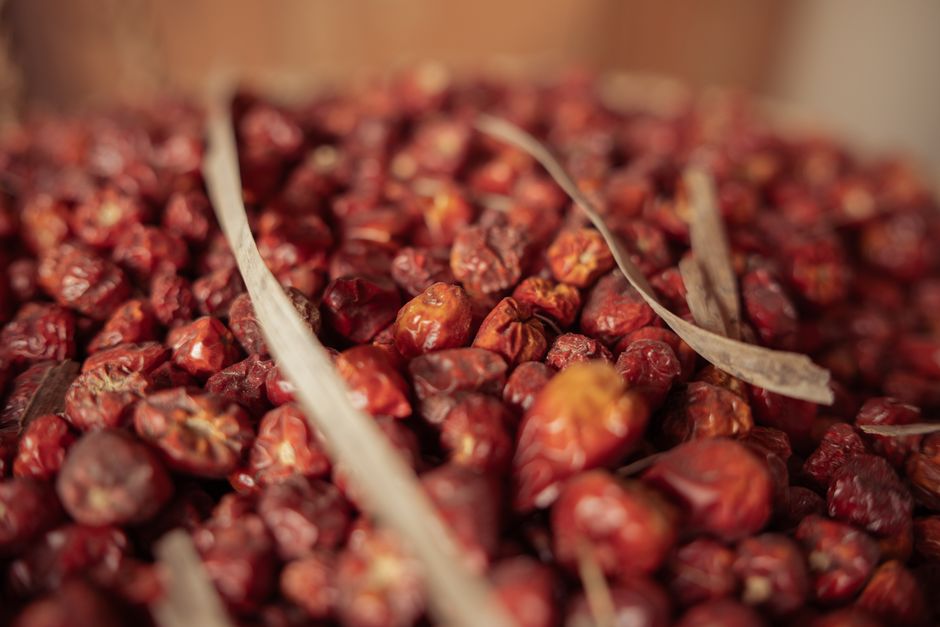 what is jujube fruit