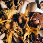 what is king trumpet mushroom good for nutrition health