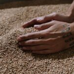 what is malt alcohol brewing types and nutrition