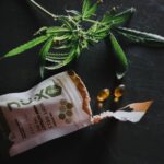 what is organic hemp how its grown and used