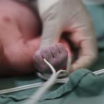 what is the umbilical cord for in pregnancy