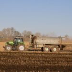 what is urea nitrogen