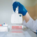 what is wet transfer the western blot method explained