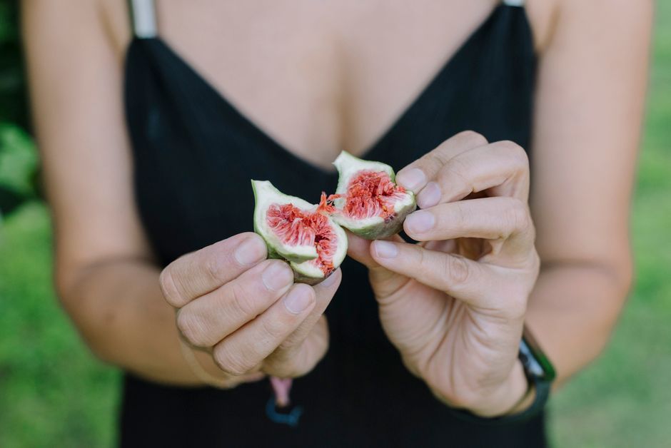 when are figs ready to pick
