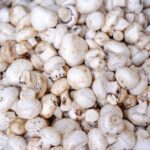 where to get mushrooms for anxiety from shops to retreats