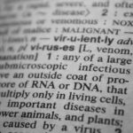 where translation occurs in prokaryotes cytoplasm