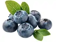 Bilberry ingredient