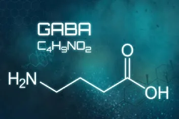 GABA — Yu Sleep ingredient