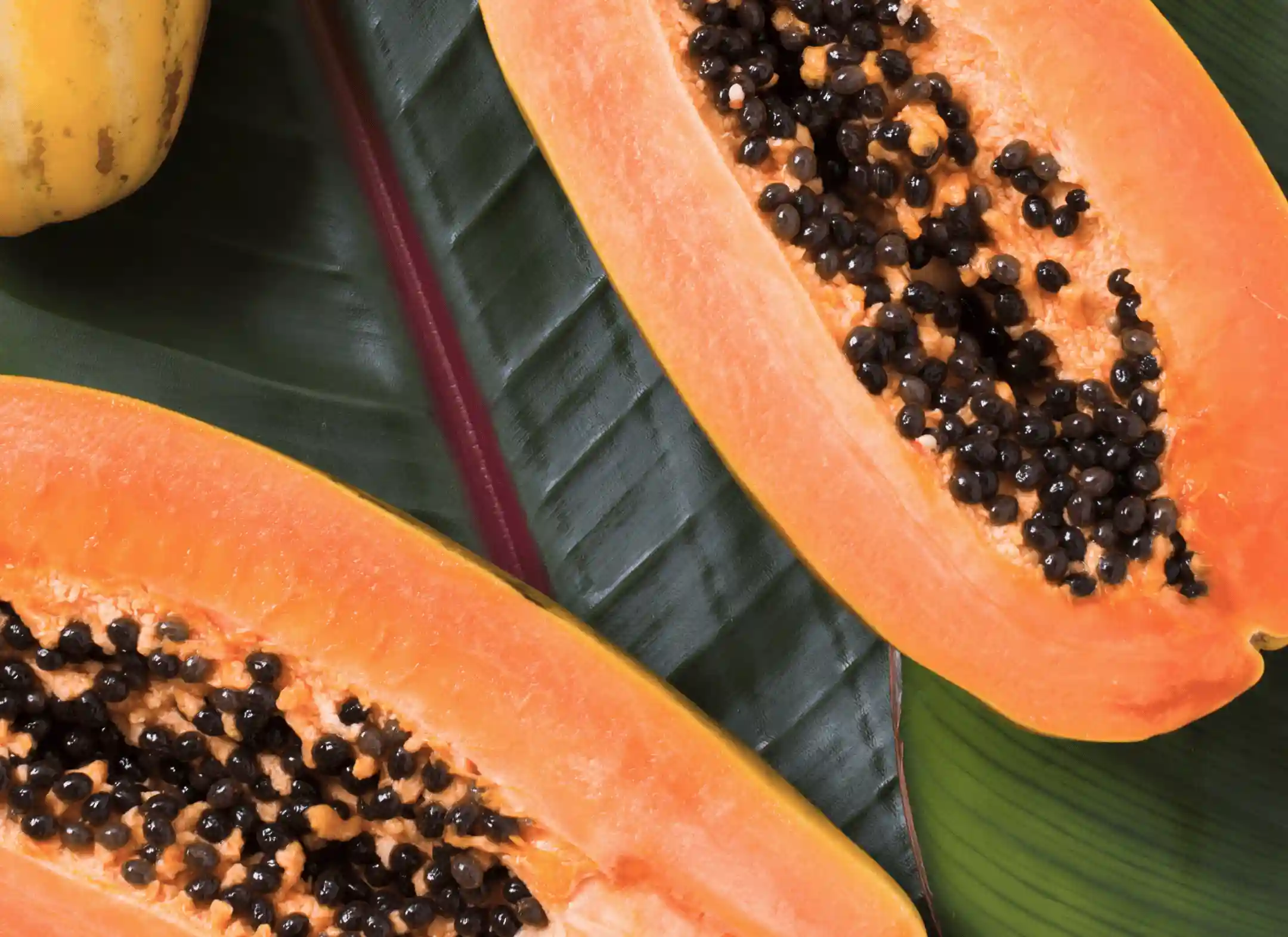 Papaya Seed Powder