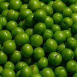 are cherry plums edible how to identify and enjoy them