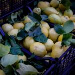 are lemons a natural fruit