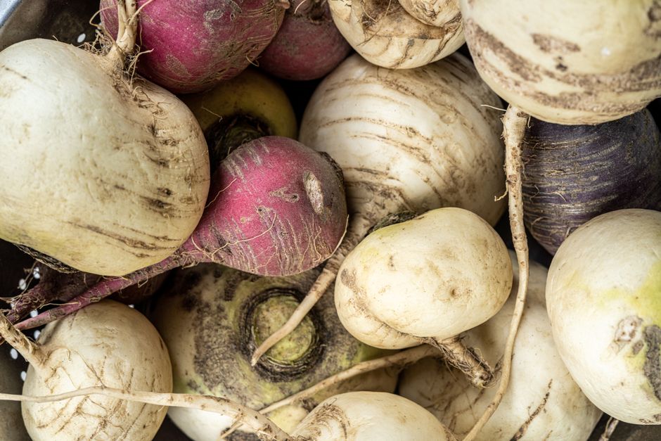 are turnip leaves edible how to prepare and enjoy them