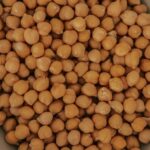 do beens have l-lysine