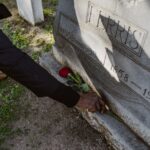 do black widows kill the reality of their venom