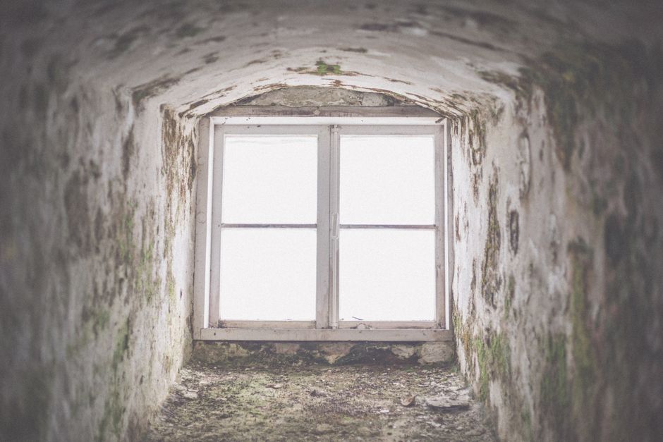 does uv light kill mold the science explained