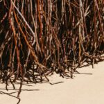 how do nerves heal regrowth repair and recovery
