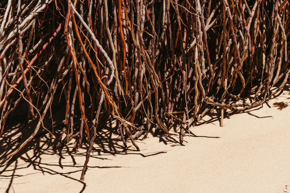 how do nerves heal regrowth repair and recovery
