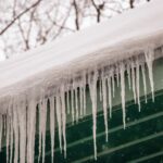 how freeze thawing damages cells and how to prevent it