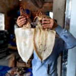 how much protein does dried squid have per 100g