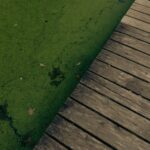 how to break down biofilm naturally what works