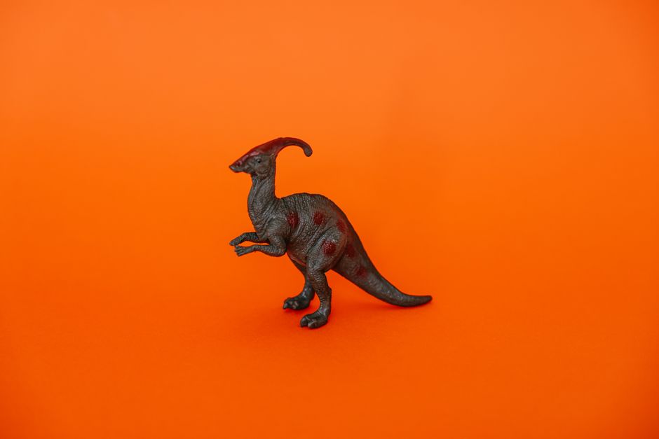 how to find the extinction coefficient