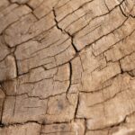 how to get a wood splinter out safely at home