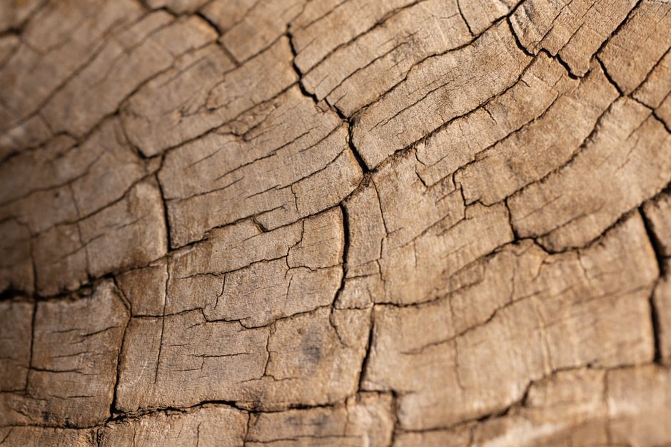 how to get a wood splinter out safely at home