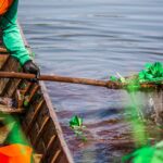 how to get rid of and control water hyacinth